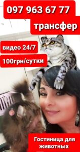 photo5393472097998714499
