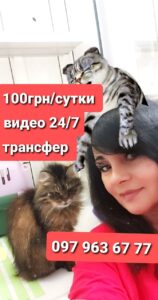 photo5393472097998714500